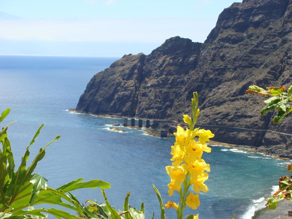 Viviendas Vacacionales Jardin La Punta Hermigua Exterior foto